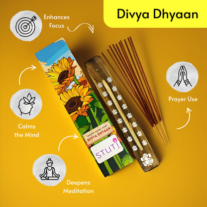 STUTI Premium Agarbatti for Pooja | Pure Havan & Divya Dhyaan (Pack of 2)